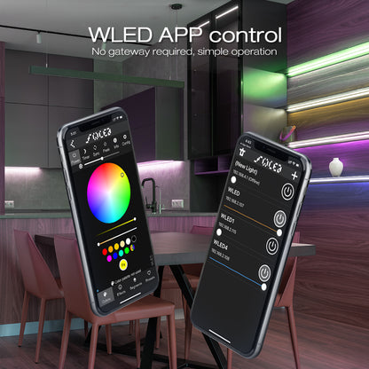 Outdoor IP65 Digital Waterproof LED Strip Controller