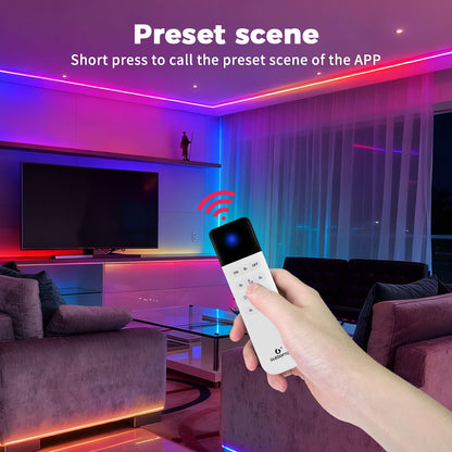 Remote Control 12 Key for WLED Digital LED Strip Controller