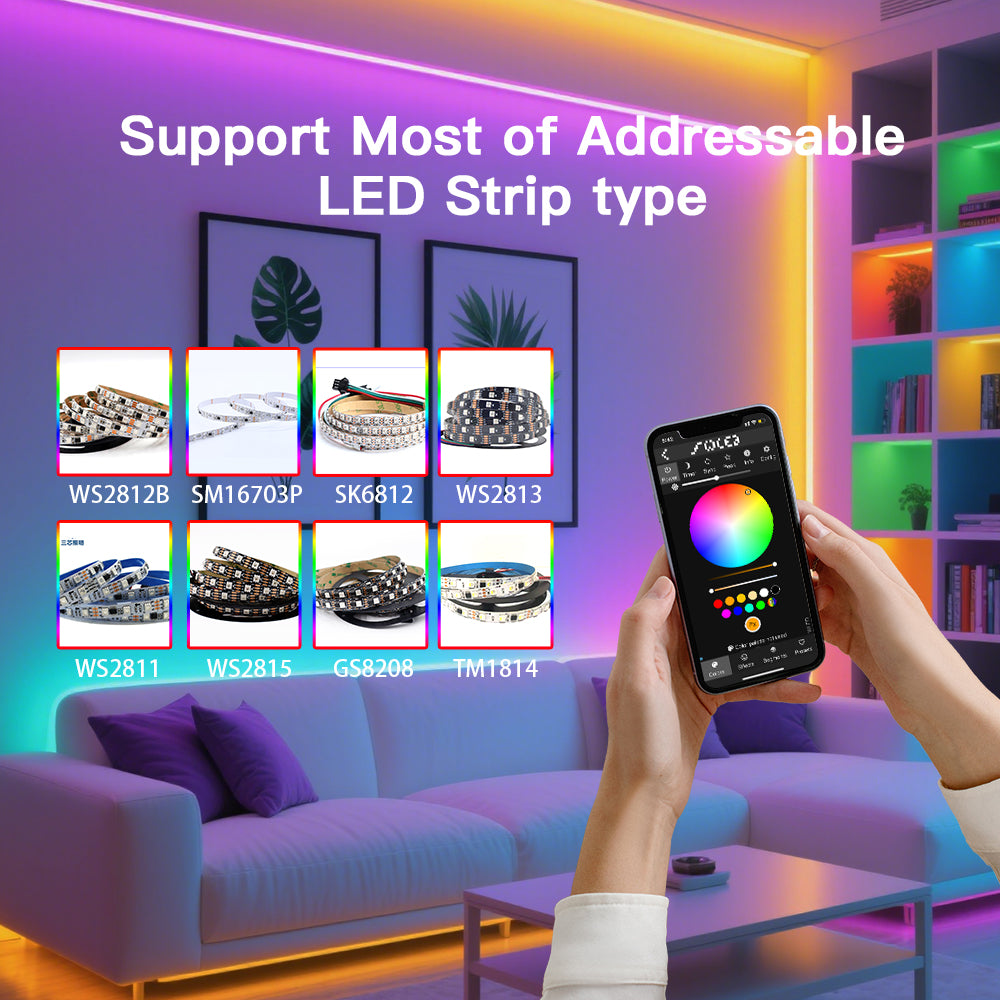 Digital LED Strip Controller with 2 outputs Extra GPIOs White