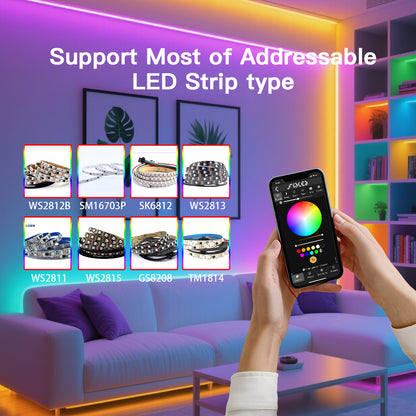 Digital LED Strip Controller with 2 outputs Extra GPIOs White