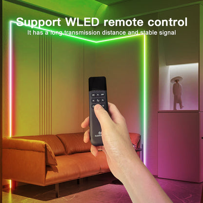 Digital LED Strip Controller with 2 outputs Extra GPIOs White